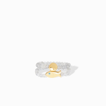 fish dish stretching ring