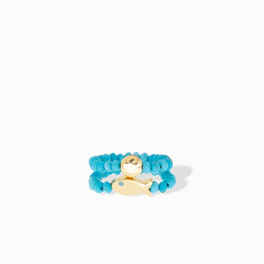 fish dish stretching ring